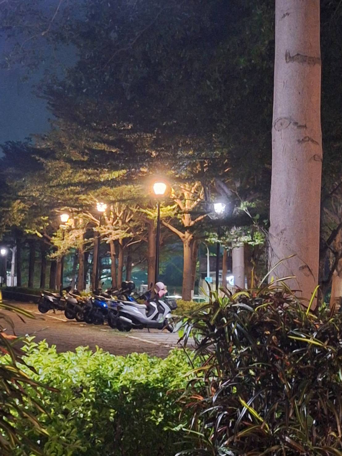 工程實績6-詳情圖片